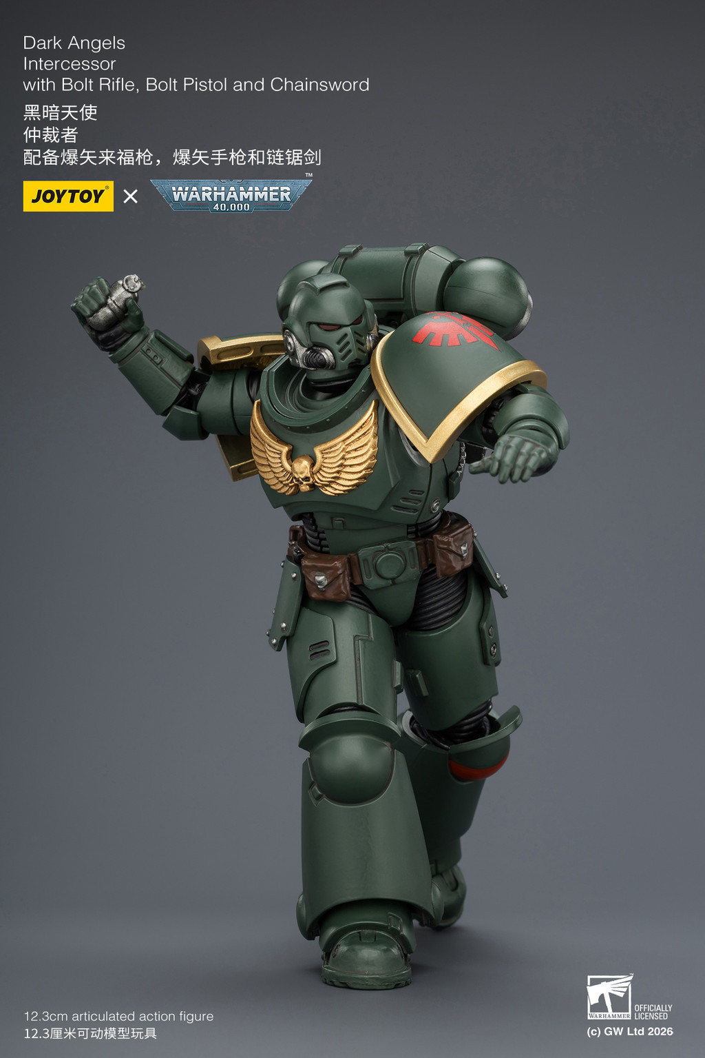 Dark Angels Intercessor with Bolt Rifle, Bolt Pistol and Chainsword - view 17