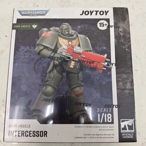 Dark Angels Intercessor with Bolt Rifle, Bolt Pistol and Chainsword - Premium action figure - $0.00