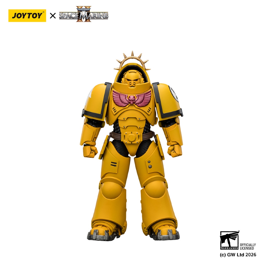 Game Edition Imperial Fists Heavy Intercessor with Heavy Bolt Rifle and Bolt Pistol - view 3