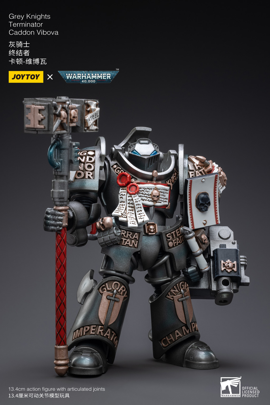 Grey Knights Terminator Caddon Vibova - view 6