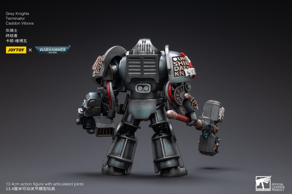 Grey Knights Terminator Caddon Vibova - view 5