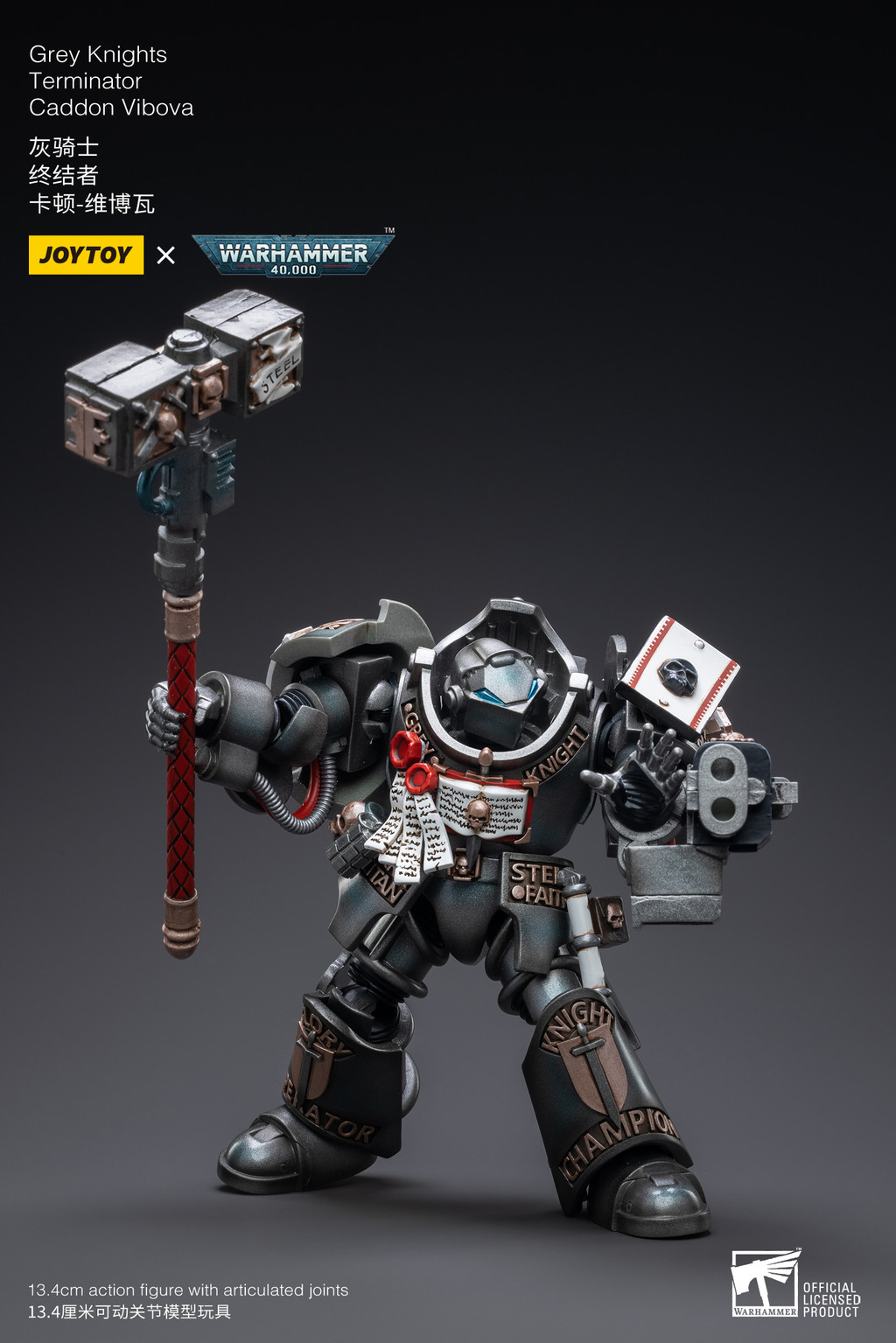Grey Knights Terminator Caddon Vibova - view 7