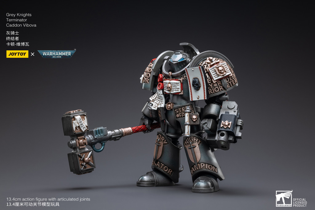 Grey Knights Terminator Caddon Vibova - view 8