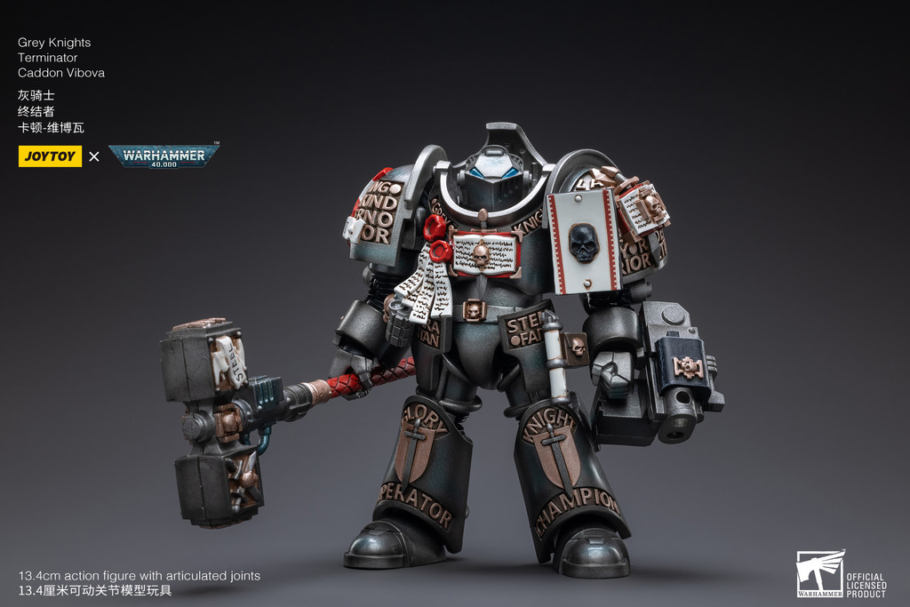 Grey Knights Terminator Caddon Vibova - view 4