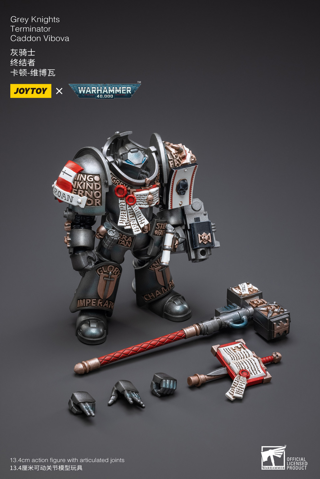 Grey Knights Terminator Caddon Vibova - view 10