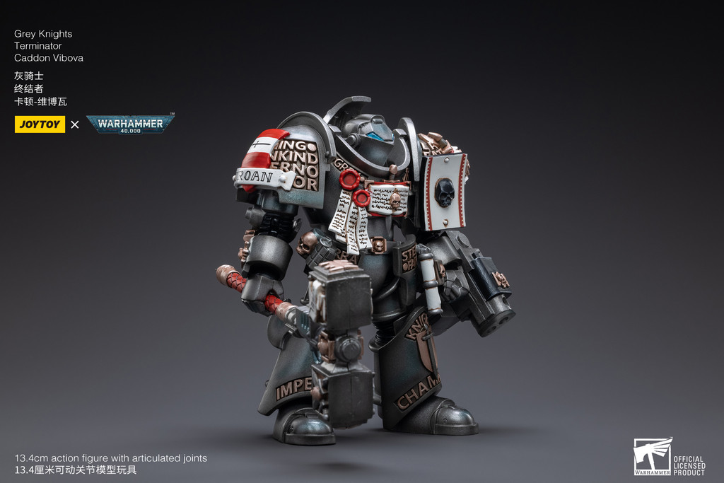 Grey Knights Terminator Caddon Vibova - view 9