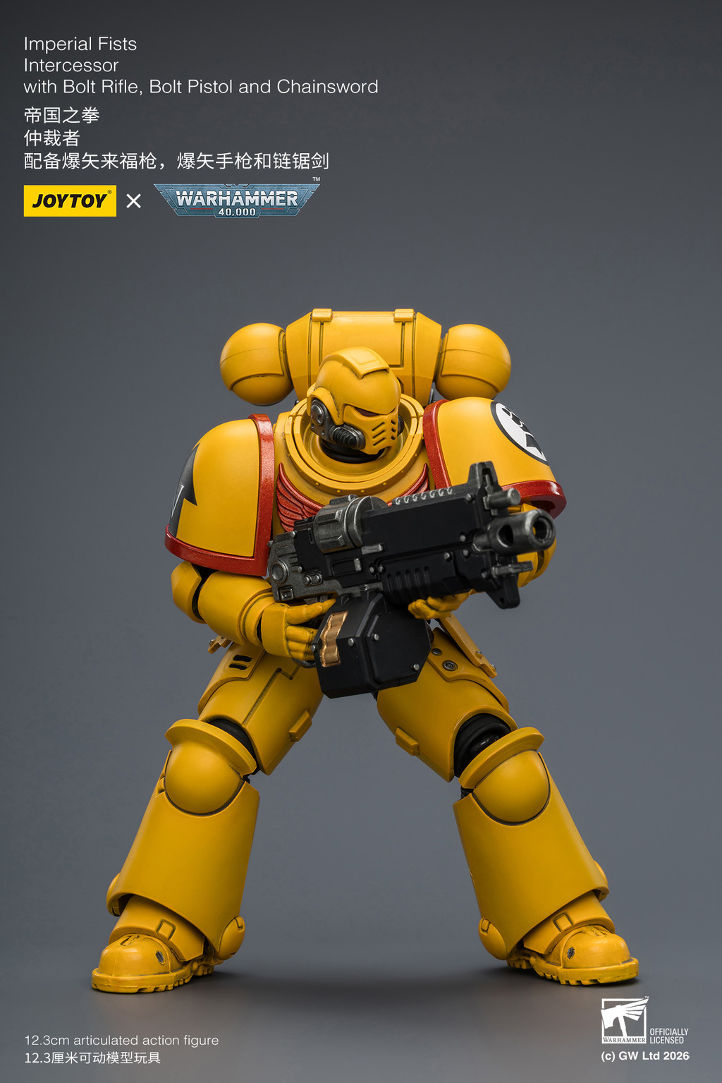 Imperial Fists Intercessor with Bolt Rifle, Bolt Pistol and Chainsword - view 13