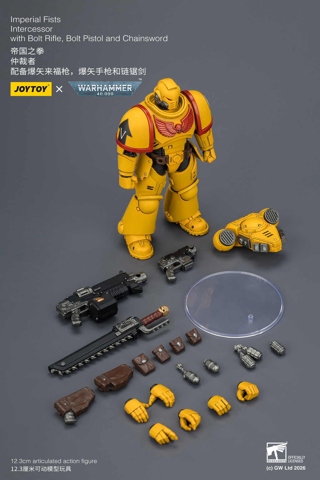 Imperial Fists Intercessor with Bolt Rifle, Bolt Pistol and Chainsword - view 18