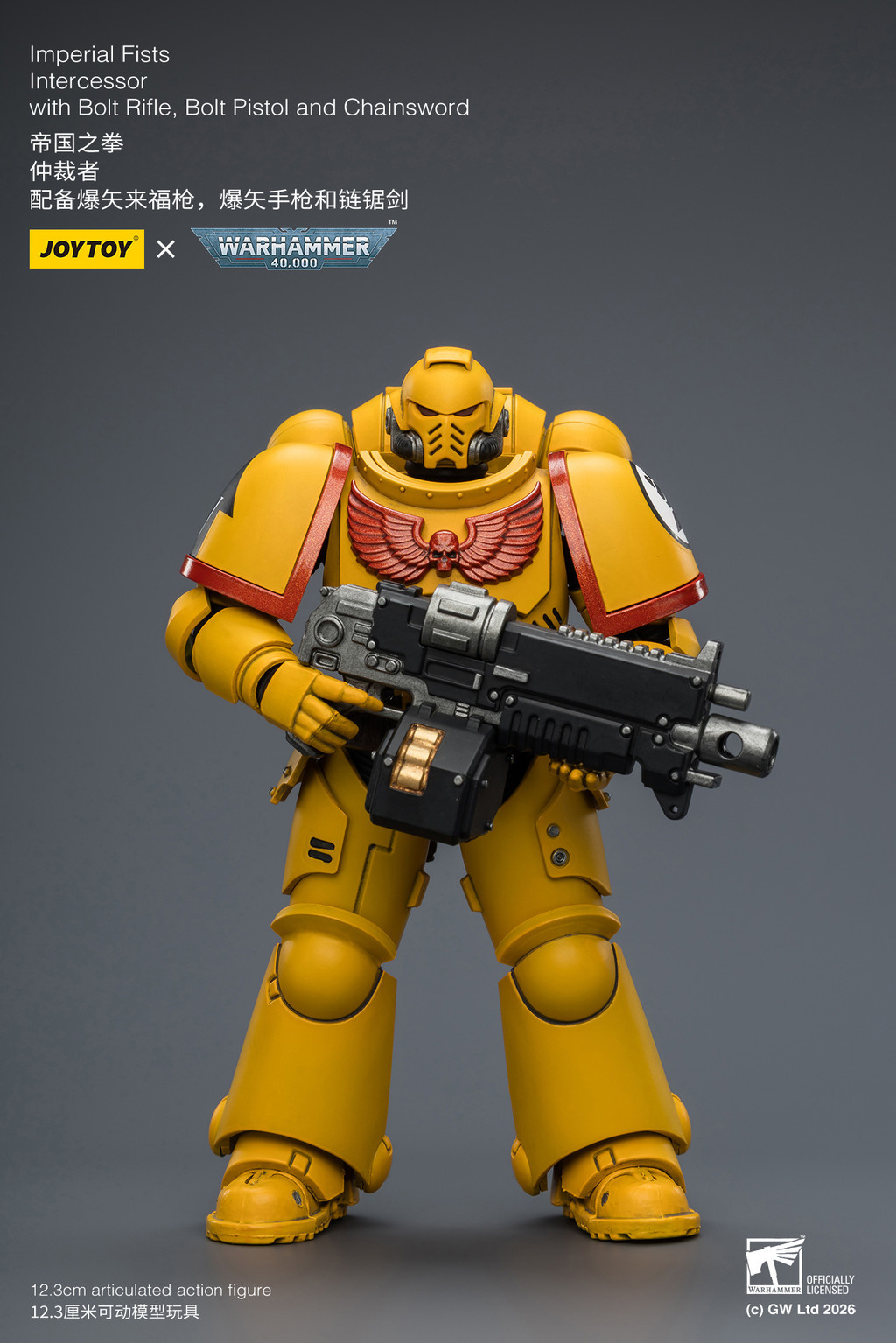 Imperial Fists Intercessor with Bolt Rifle, Bolt Pistol and Chainsword - view 10