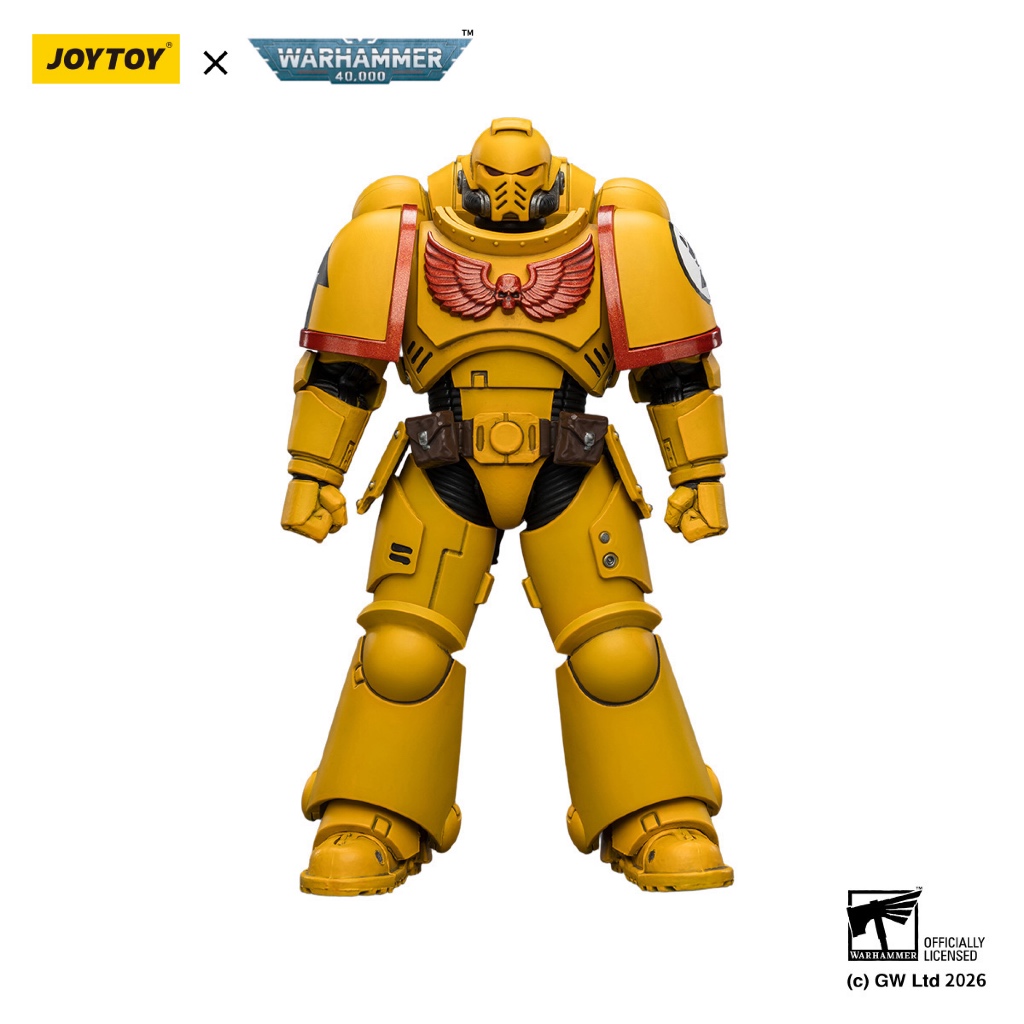 Imperial Fists Intercessor with Bolt Rifle, Bolt Pistol and Chainsword - view 3