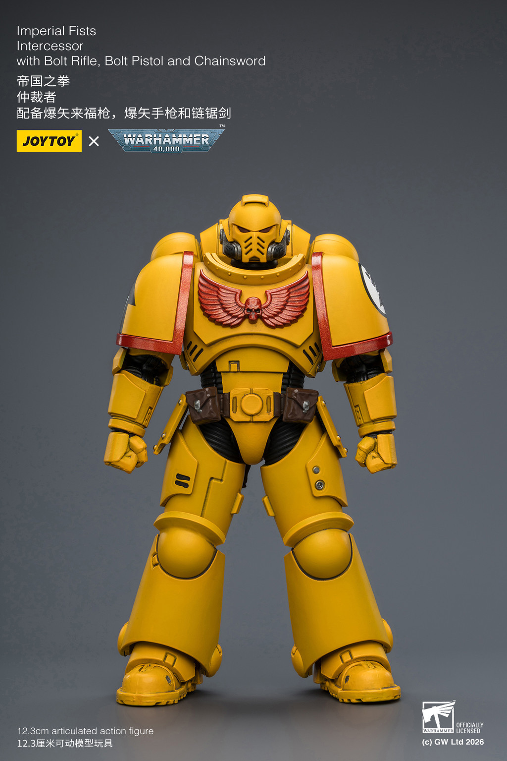 Imperial Fists Intercessor with Bolt Rifle, Bolt Pistol and Chainsword - view 9