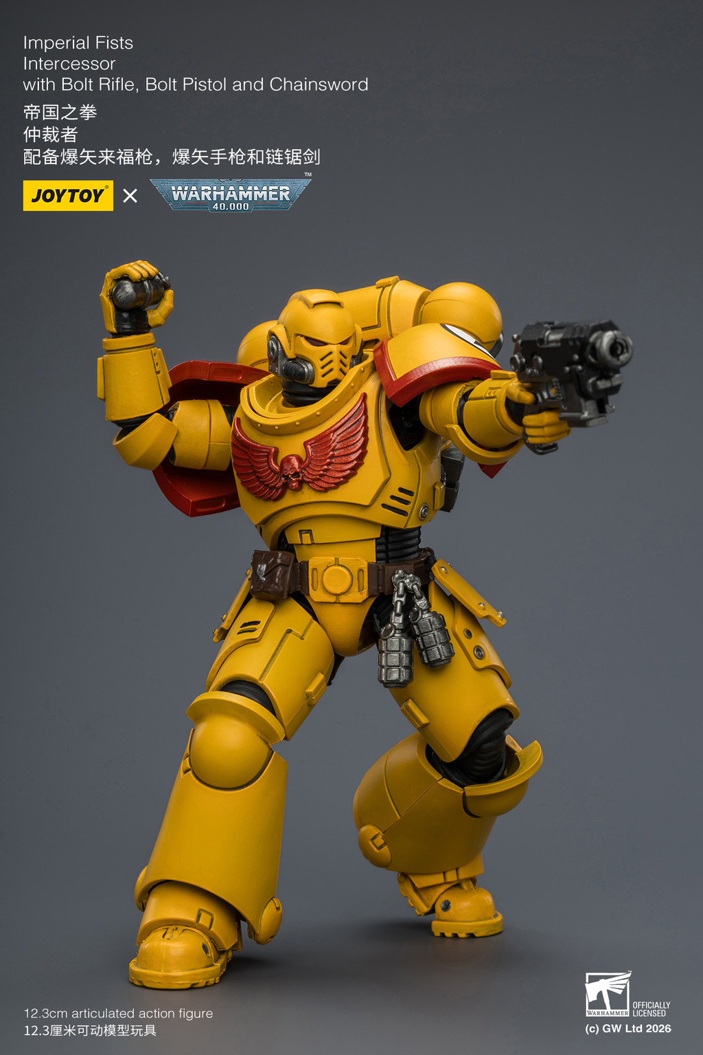 Imperial Fists Intercessor with Bolt Rifle, Bolt Pistol and Chainsword - view 15