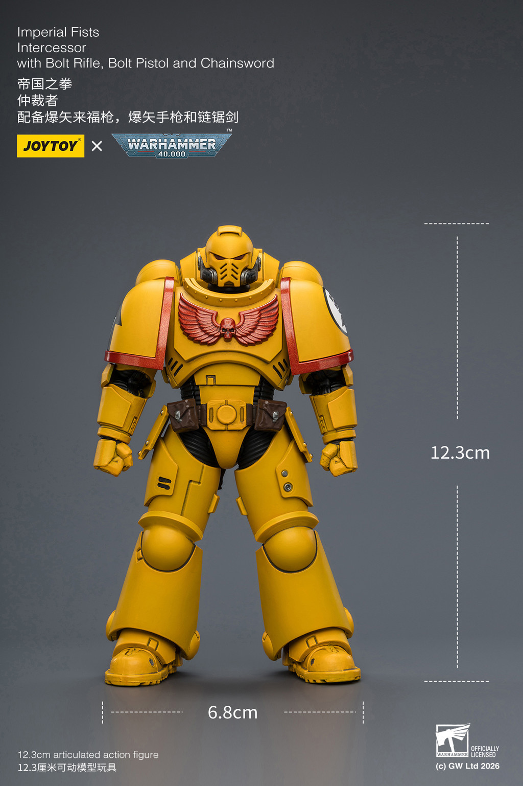 Imperial Fists Intercessor with Bolt Rifle, Bolt Pistol and Chainsword - view 19