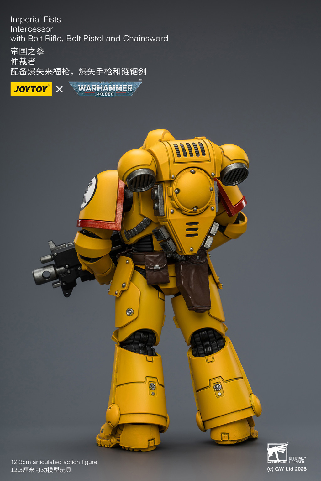 Imperial Fists Intercessor with Bolt Rifle, Bolt Pistol and Chainsword - view 12