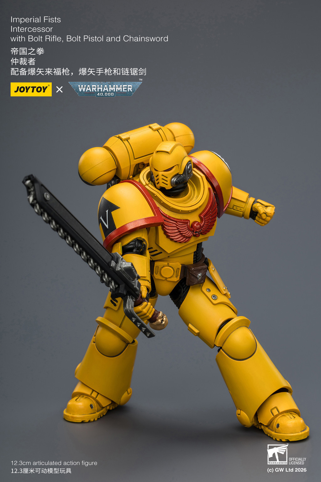 Imperial Fists Intercessor with Bolt Rifle, Bolt Pistol and Chainsword - view 17