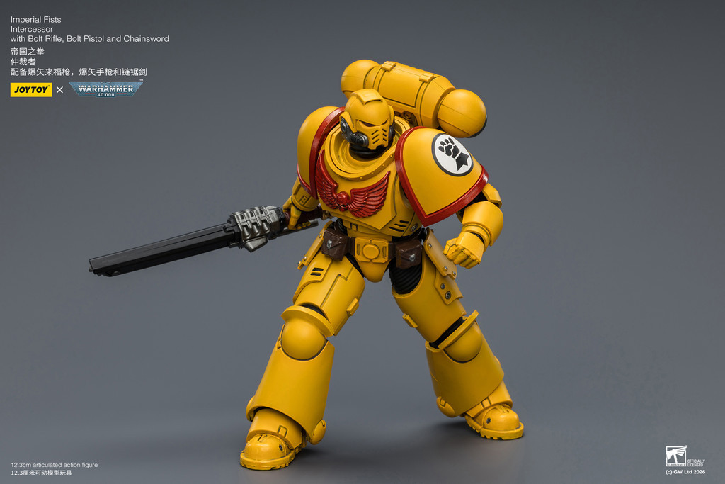 Imperial Fists Intercessor with Bolt Rifle, Bolt Pistol and Chainsword - view 16