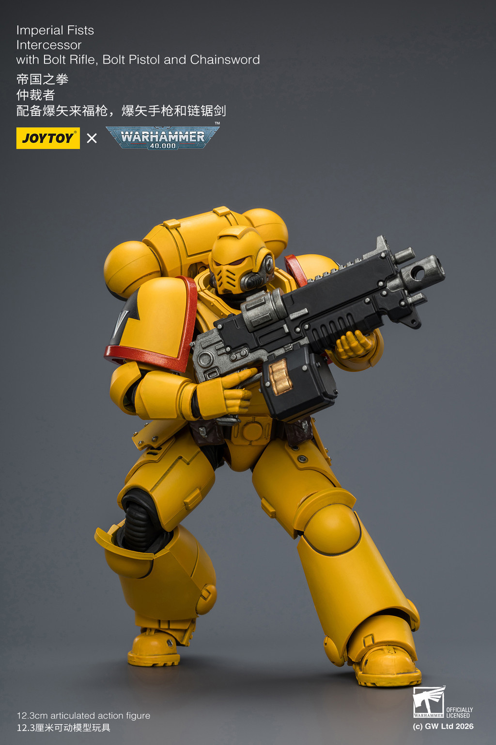 Imperial Fists Intercessor with Bolt Rifle, Bolt Pistol and Chainsword - view 14