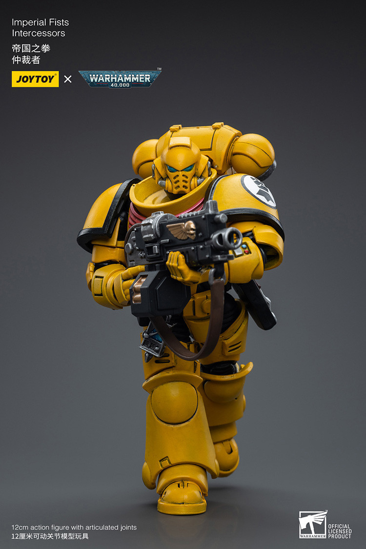 Imperial Fists Intercessors - view 12