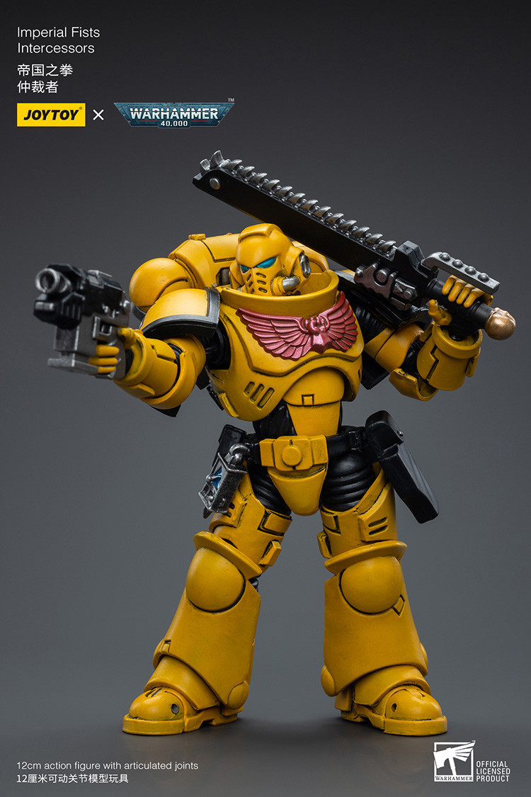 Imperial Fists Intercessors - view 15