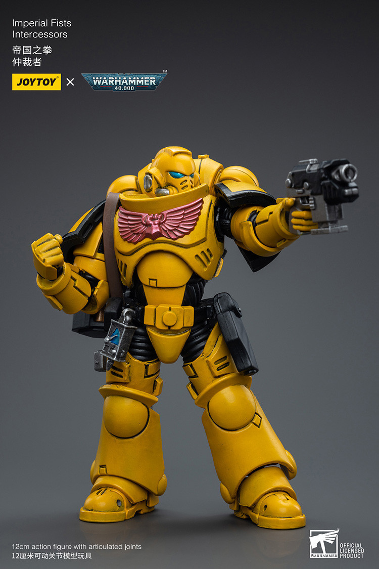 Imperial Fists Intercessors - view 13