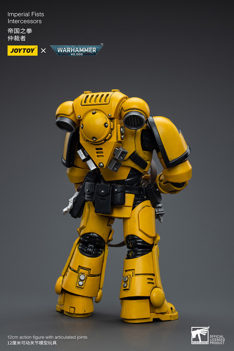 Imperial Fists Intercessors - view 8