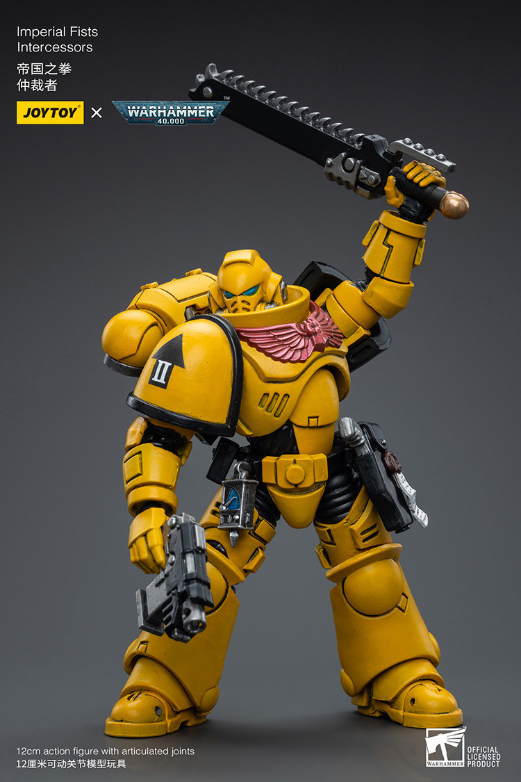 Imperial Fists Intercessors - view 14