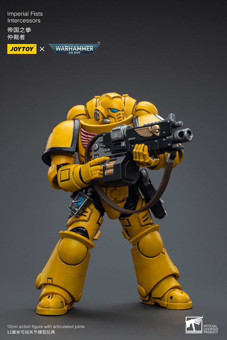 Imperial Fists Intercessors - view 10