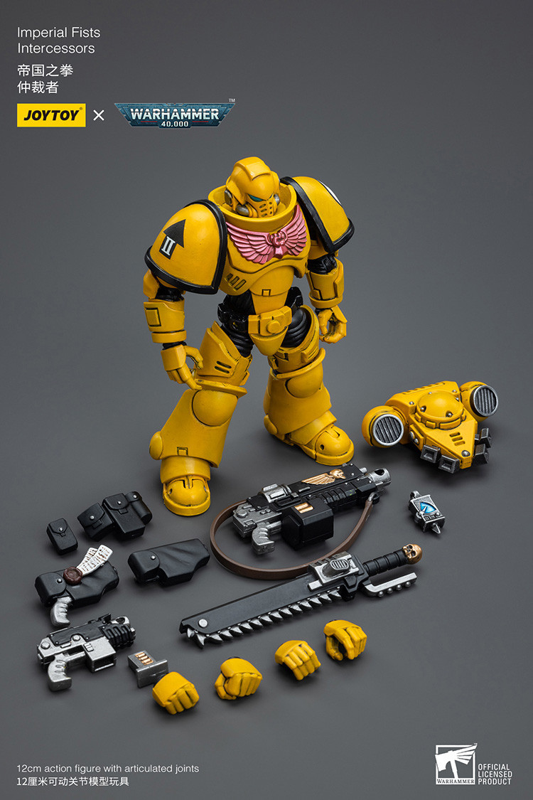 Imperial Fists Intercessors - view 16
