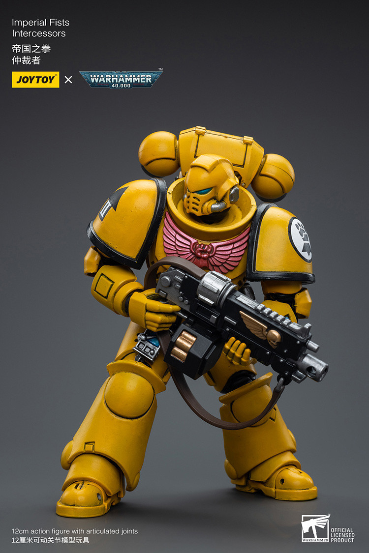 Imperial Fists Intercessors - view 11