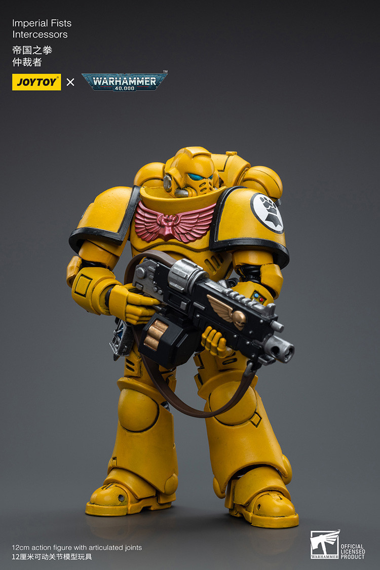 Imperial Fists Intercessors - view 9