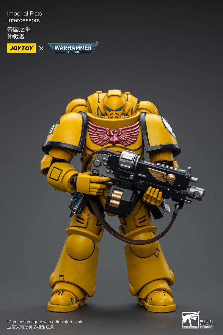 Imperial Fists Intercessors - view 7