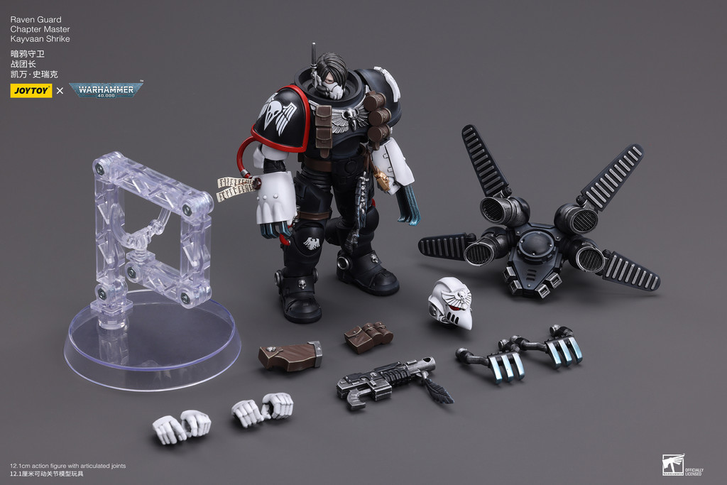 Raven Guard Chapter Master Kayvaan Shrike - view 16
