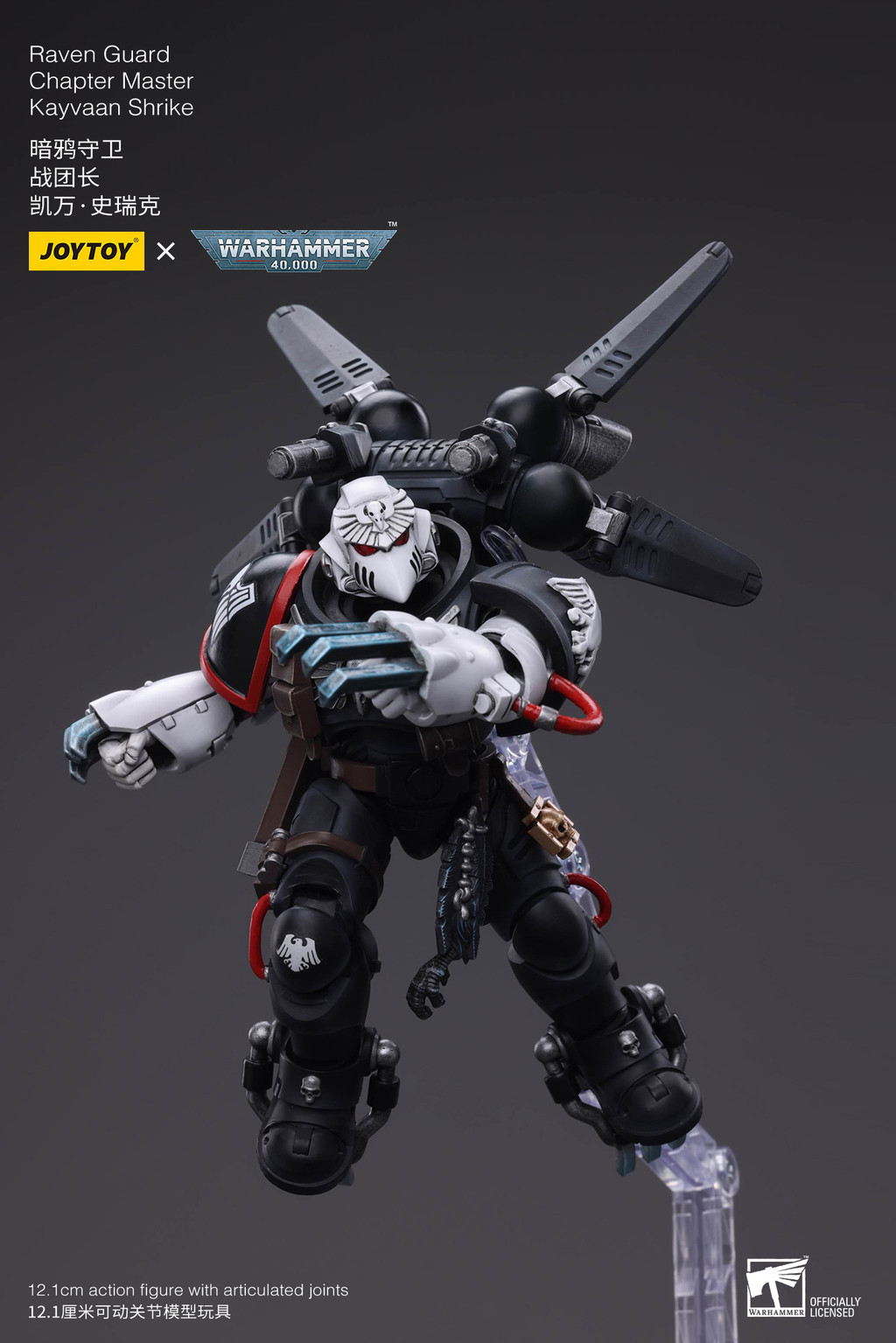 Raven Guard Chapter Master Kayvaan Shrike - view 13
