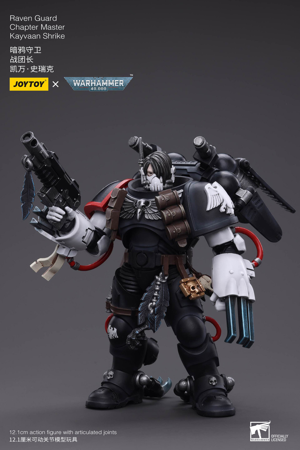 Raven Guard Chapter Master Kayvaan Shrike - view 8