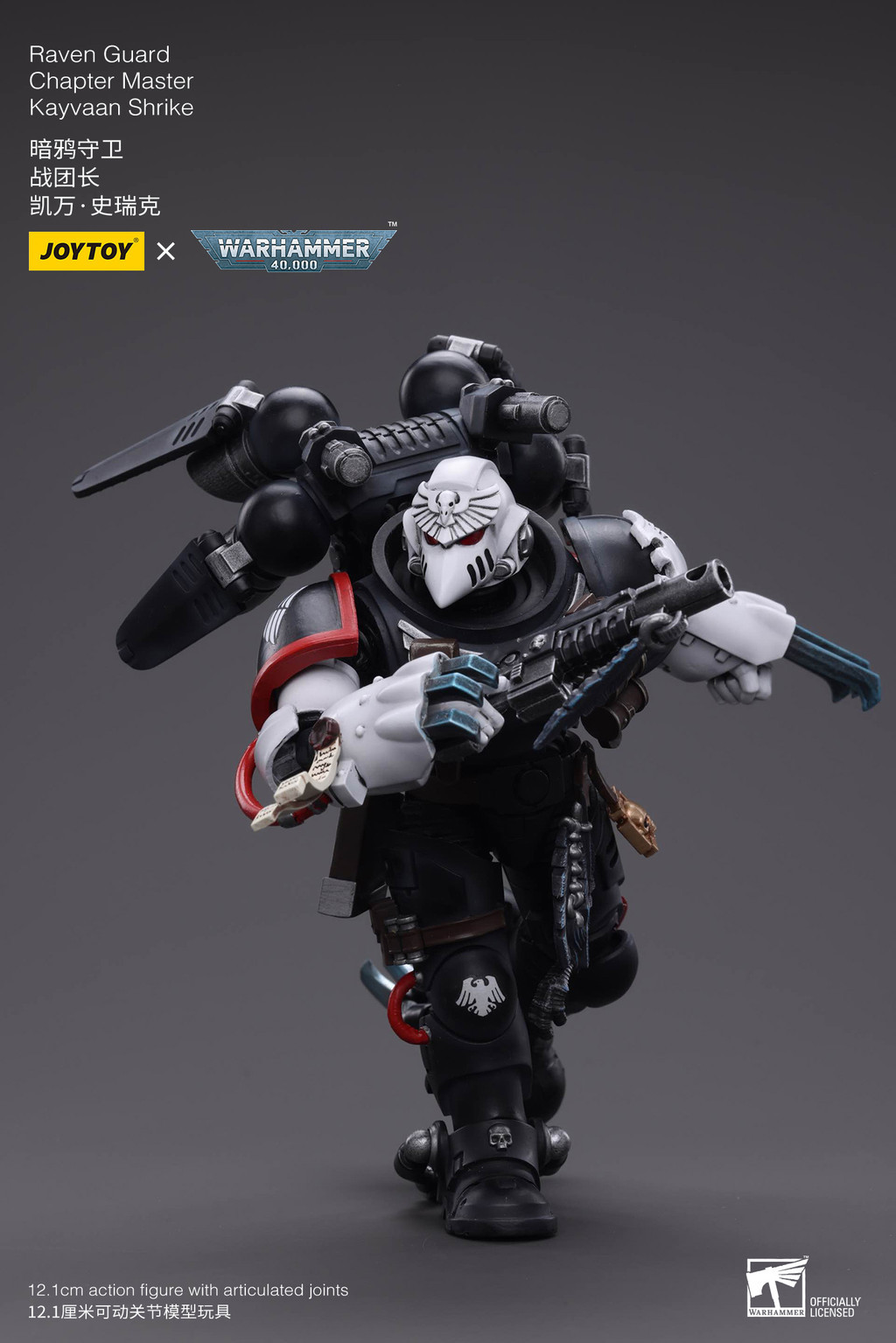 Raven Guard Chapter Master Kayvaan Shrike - view 10