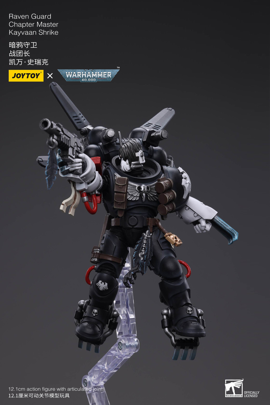 Raven Guard Chapter Master Kayvaan Shrike - view 11