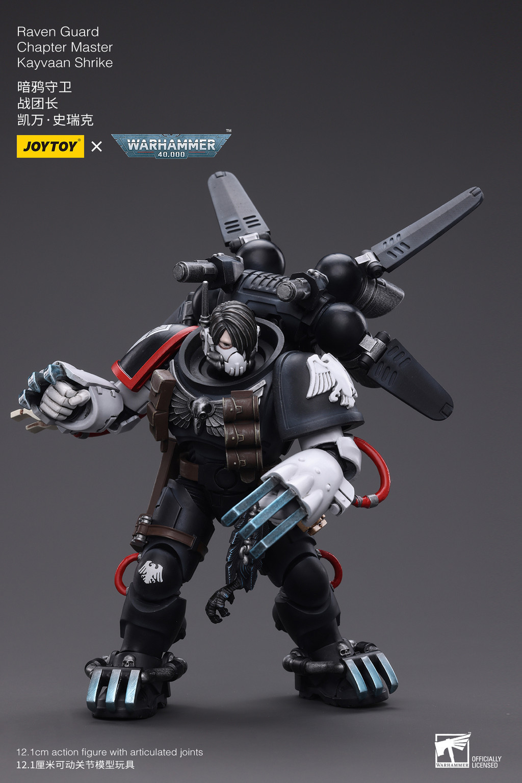 Raven Guard Chapter Master Kayvaan Shrike - view 14