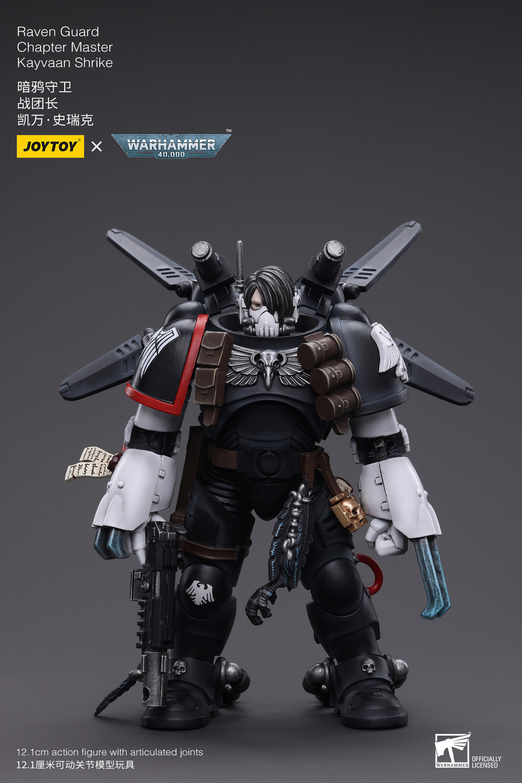 Raven Guard Chapter Master Kayvaan Shrike - view 7