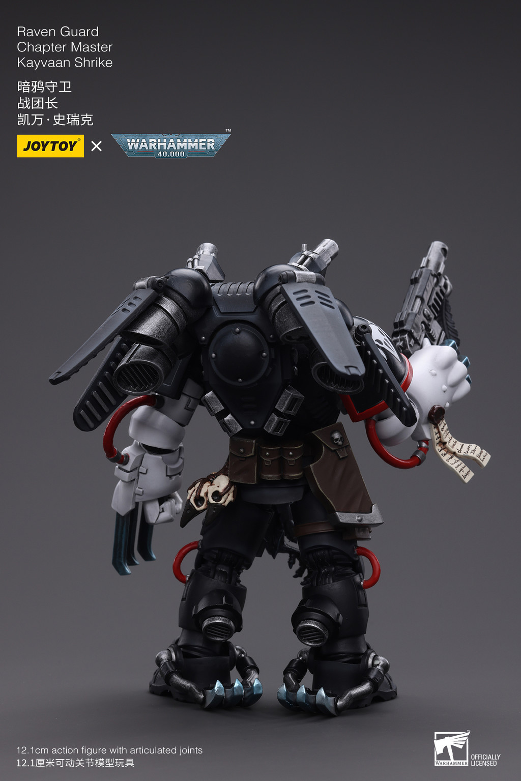 Raven Guard Chapter Master Kayvaan Shrike - view 9