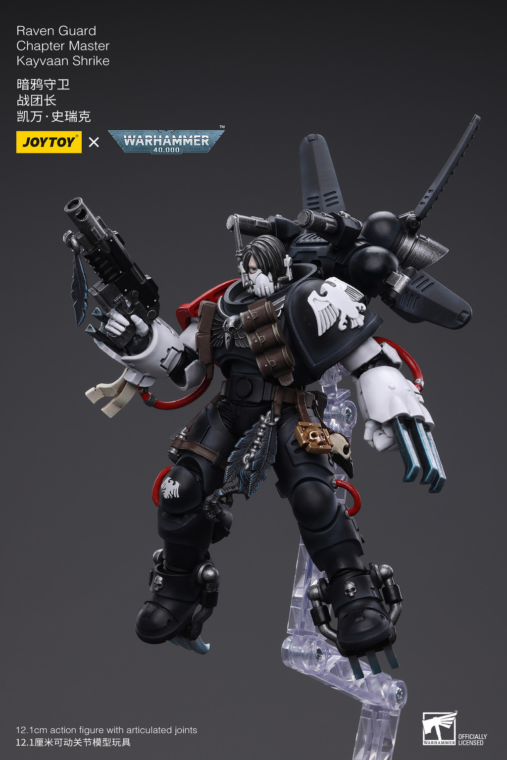 Raven Guard Chapter Master Kayvaan Shrike - view 15