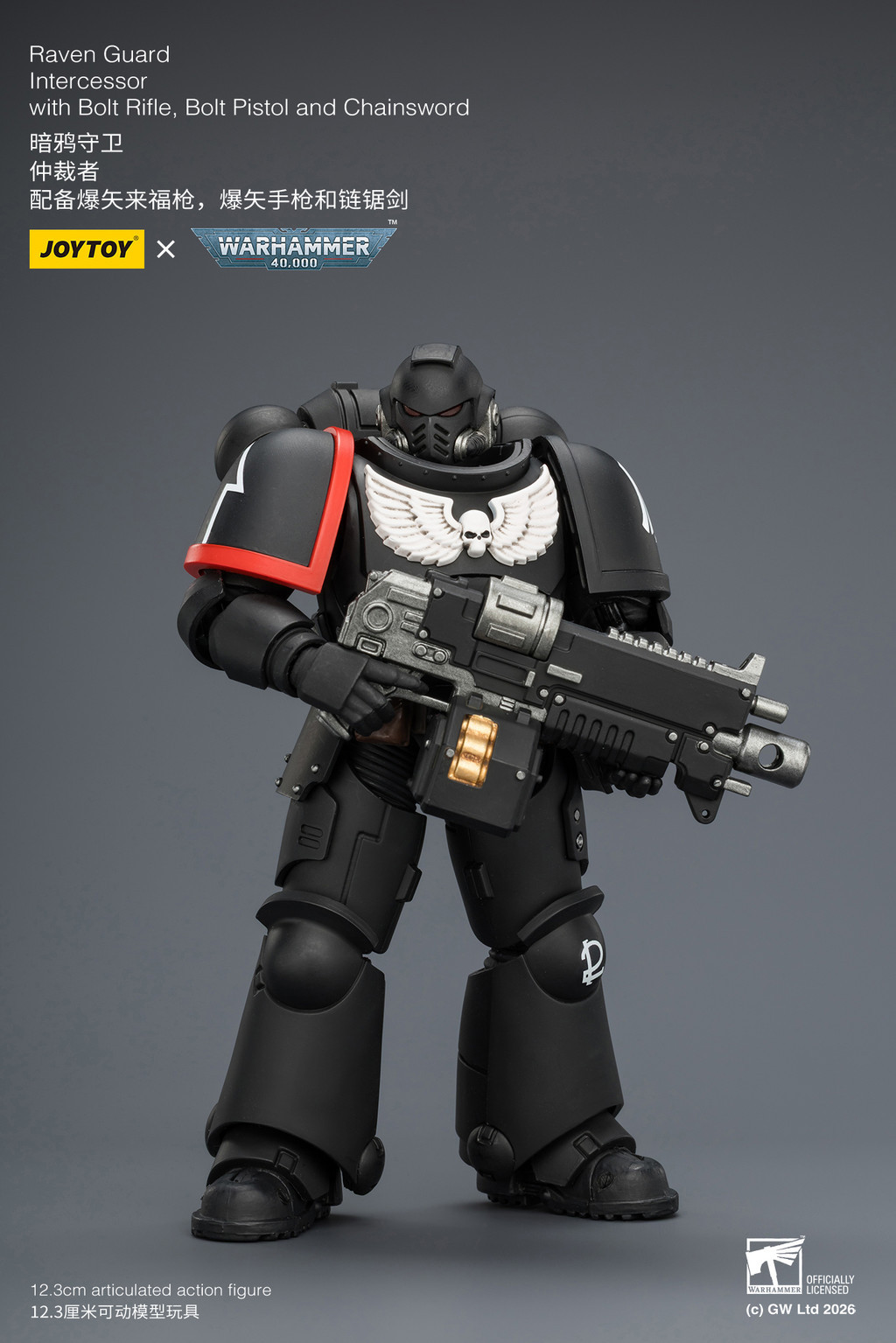 Raven Guard Intercessor with Bolt Rifle, Bolt Pistol and Chainsword - view 10