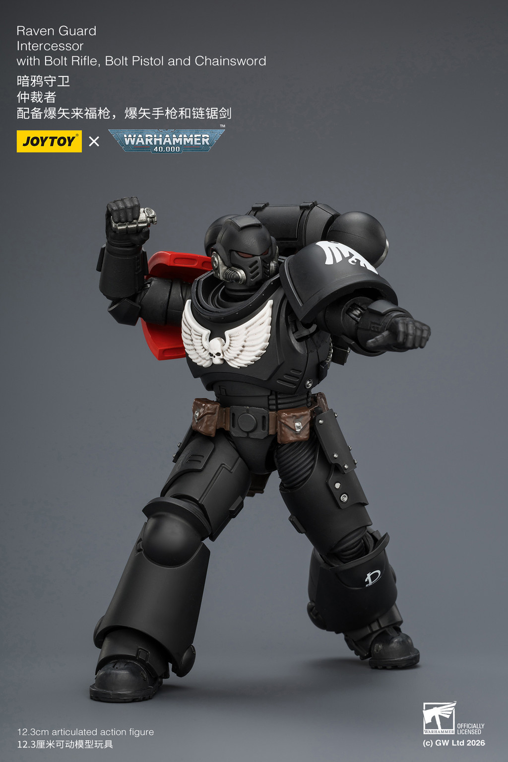 Raven Guard Intercessor with Bolt Rifle, Bolt Pistol and Chainsword - view 17
