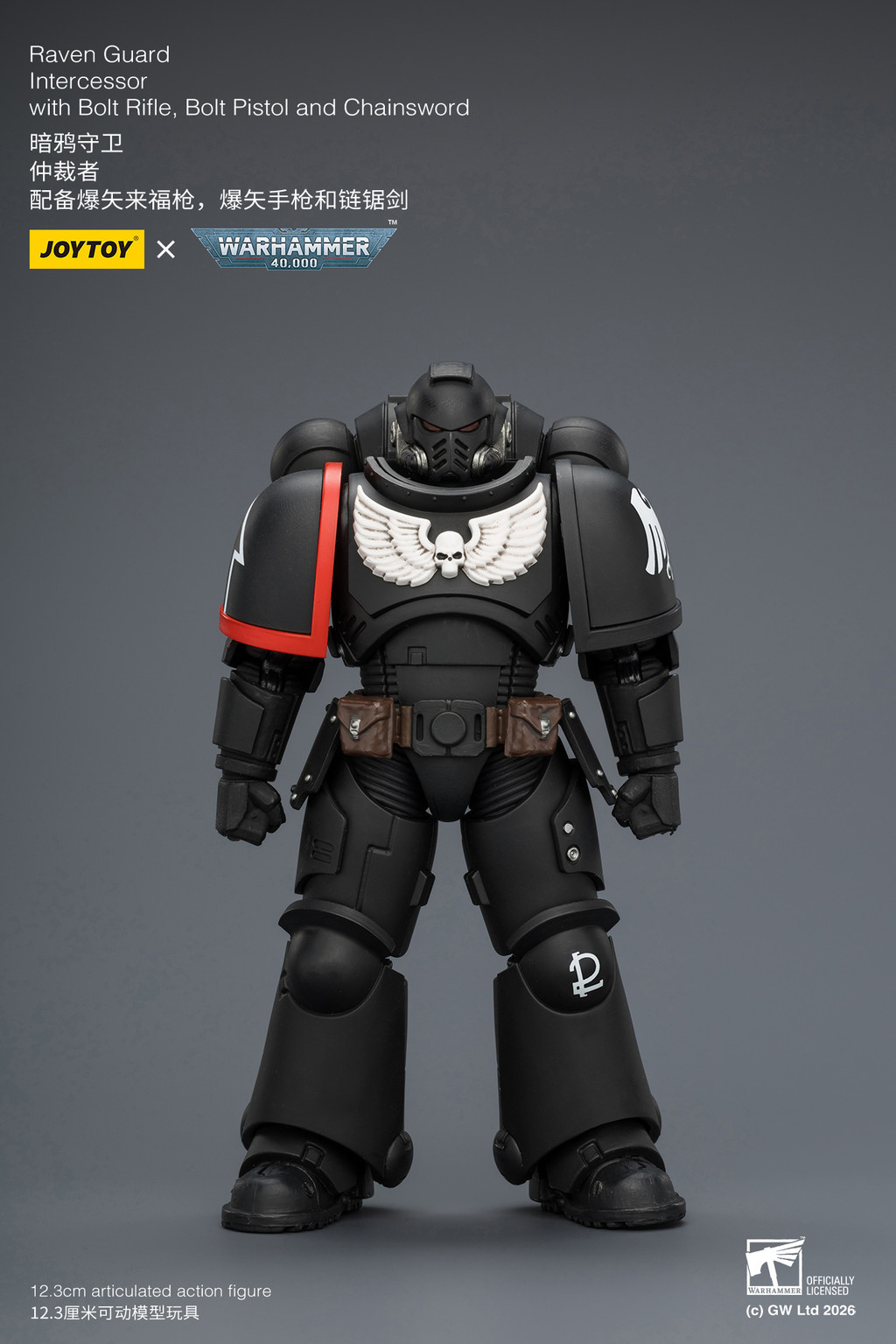 Raven Guard Intercessor with Bolt Rifle, Bolt Pistol and Chainsword - view 8