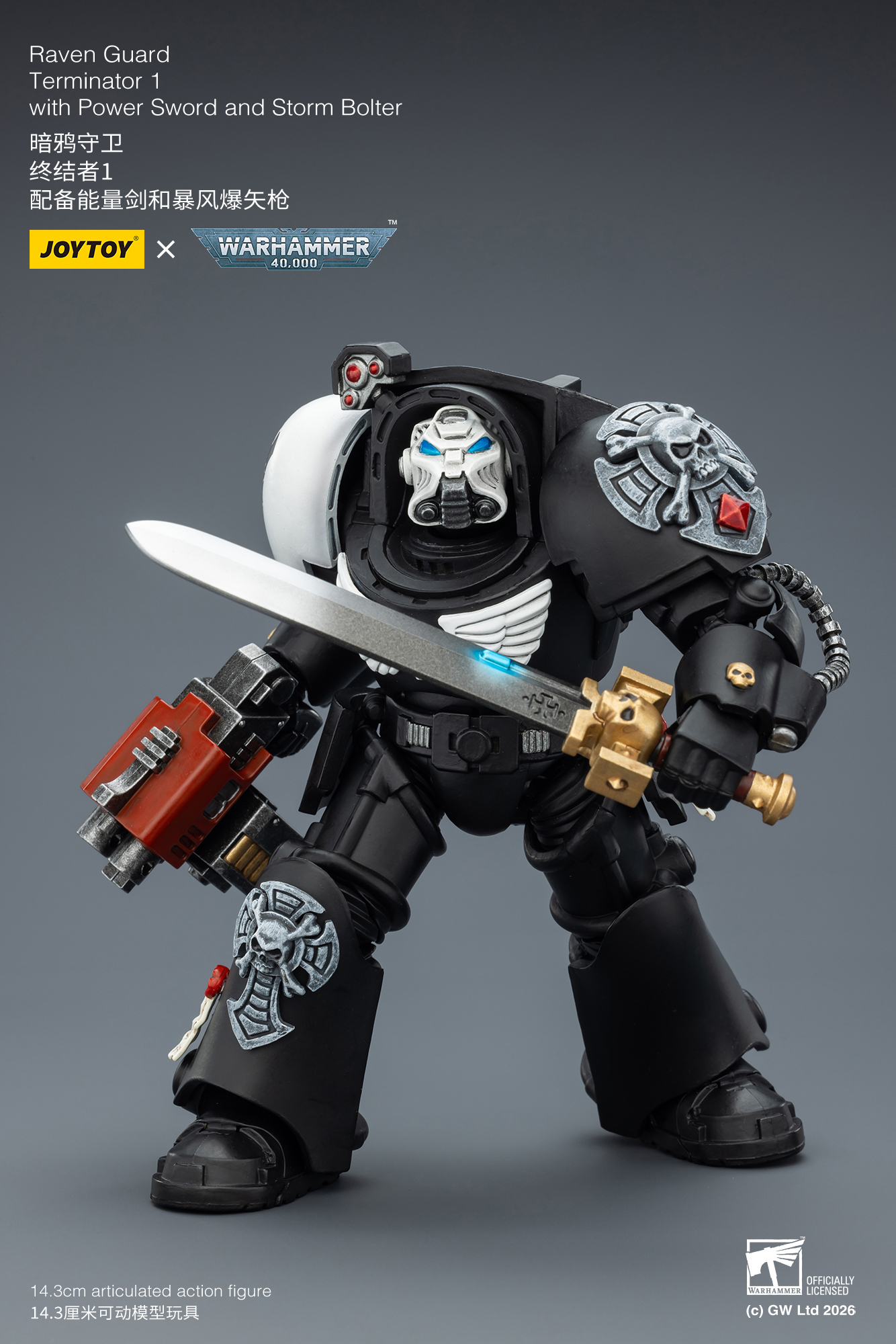 Raven Guard Terminator 1 with Power Sword and Storm Bolter - view 15