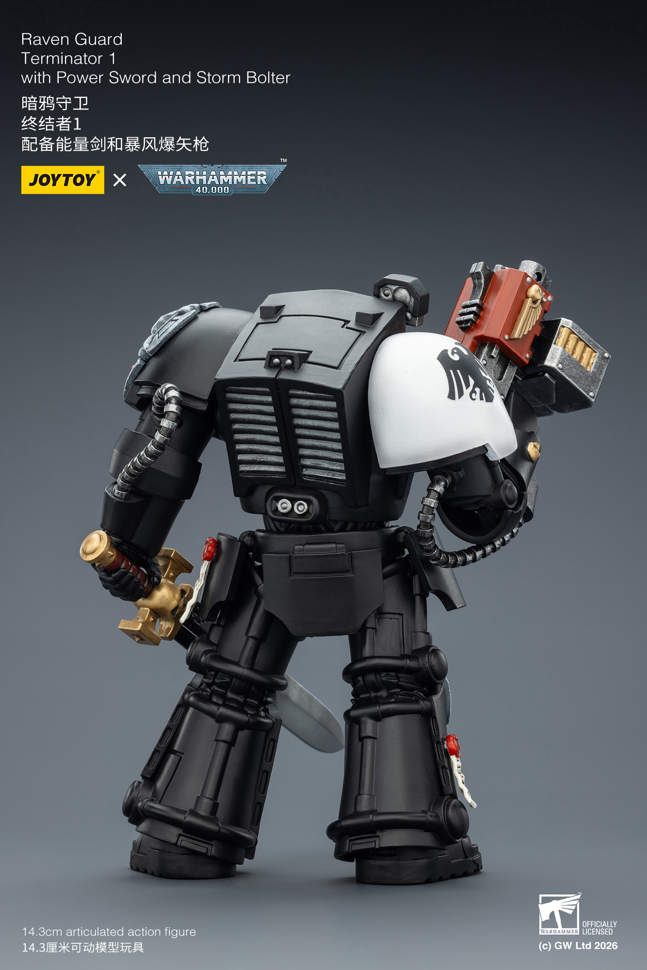 Raven Guard Terminator 1 with Power Sword and Storm Bolter - view 10