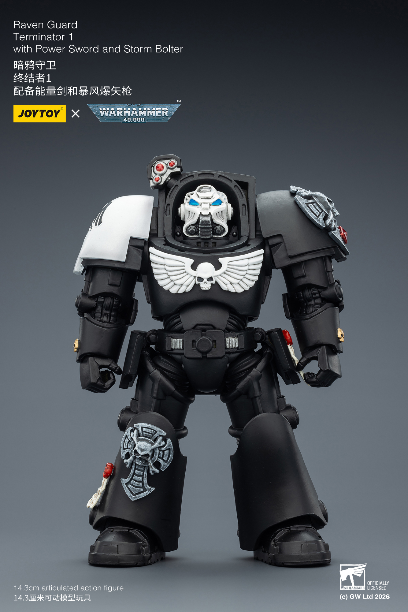 Raven Guard Terminator 1 with Power Sword and Storm Bolter - view 7