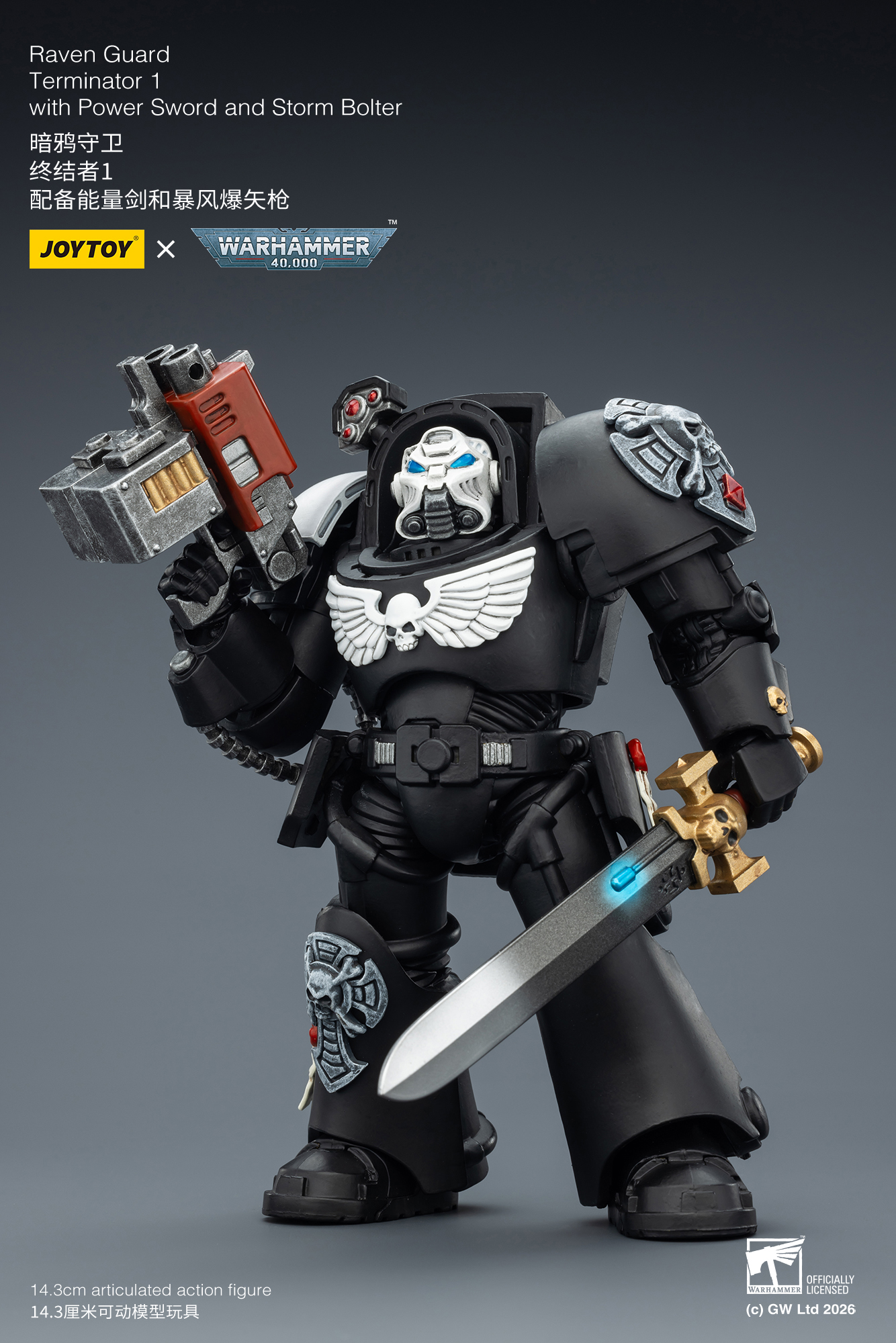 Raven Guard Terminator 1 with Power Sword and Storm Bolter - view 9