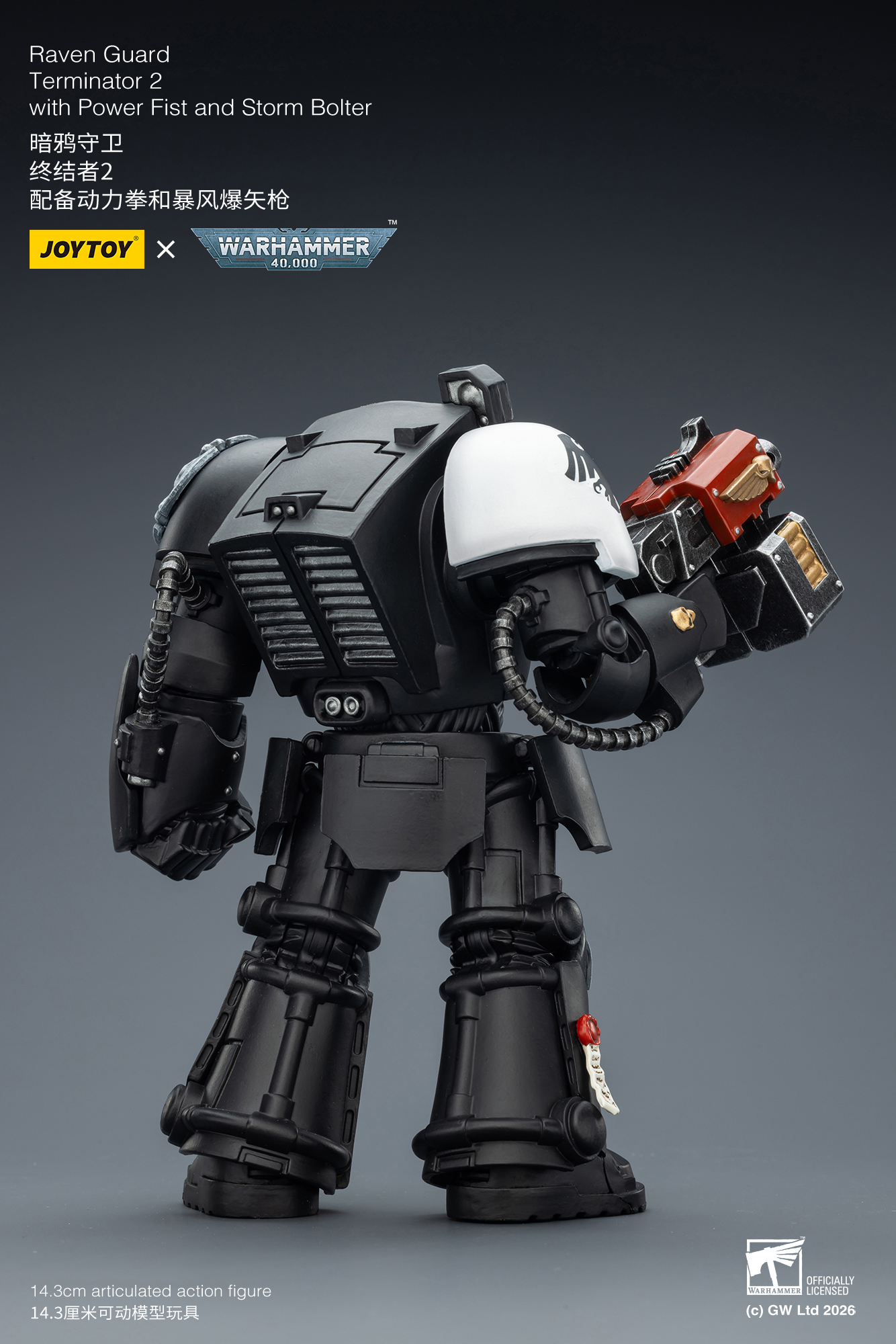 Raven Guard Terminator 2 with Power Fist and Storm Bolter - view 10