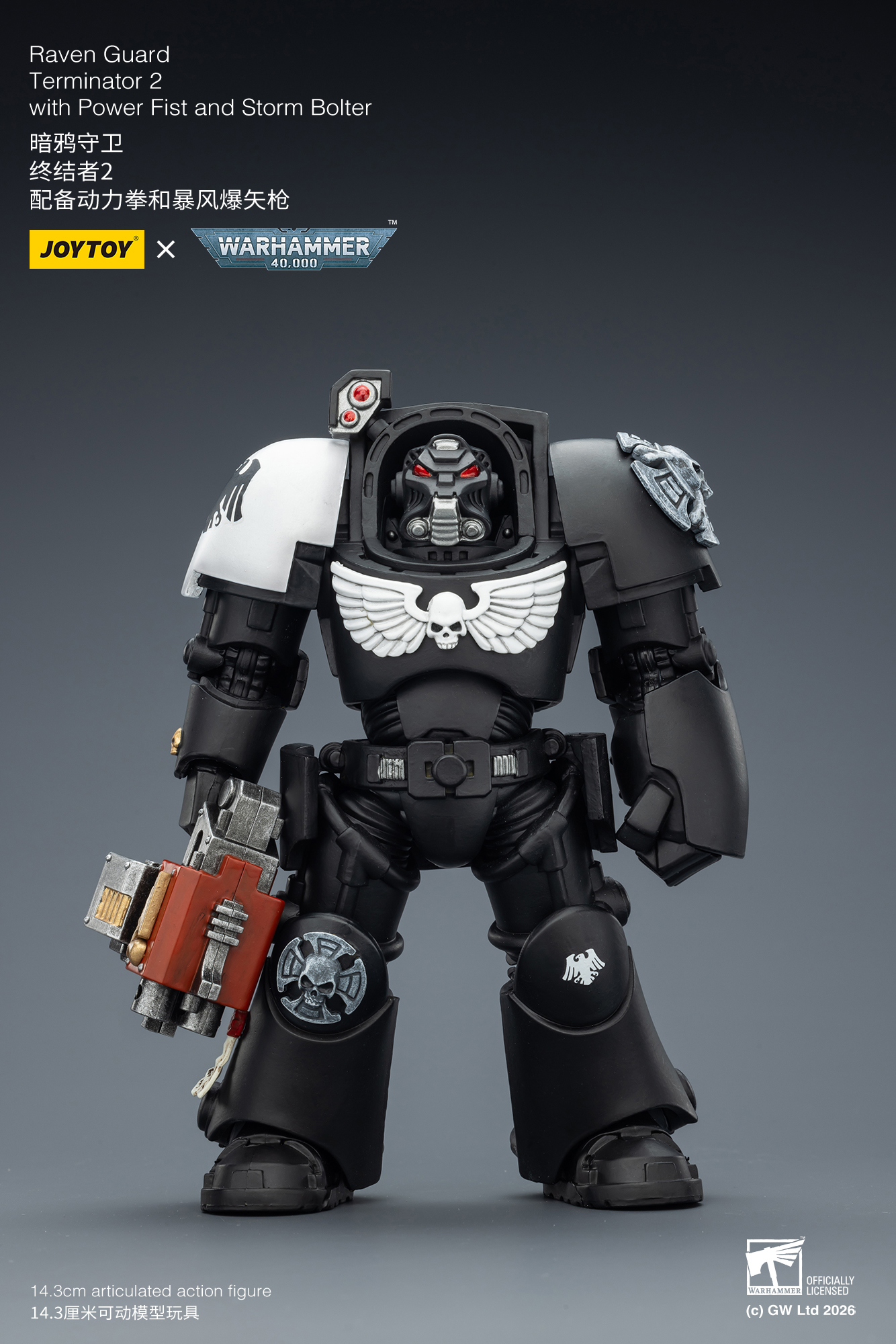 Raven Guard Terminator 2 with Power Fist and Storm Bolter - view 8