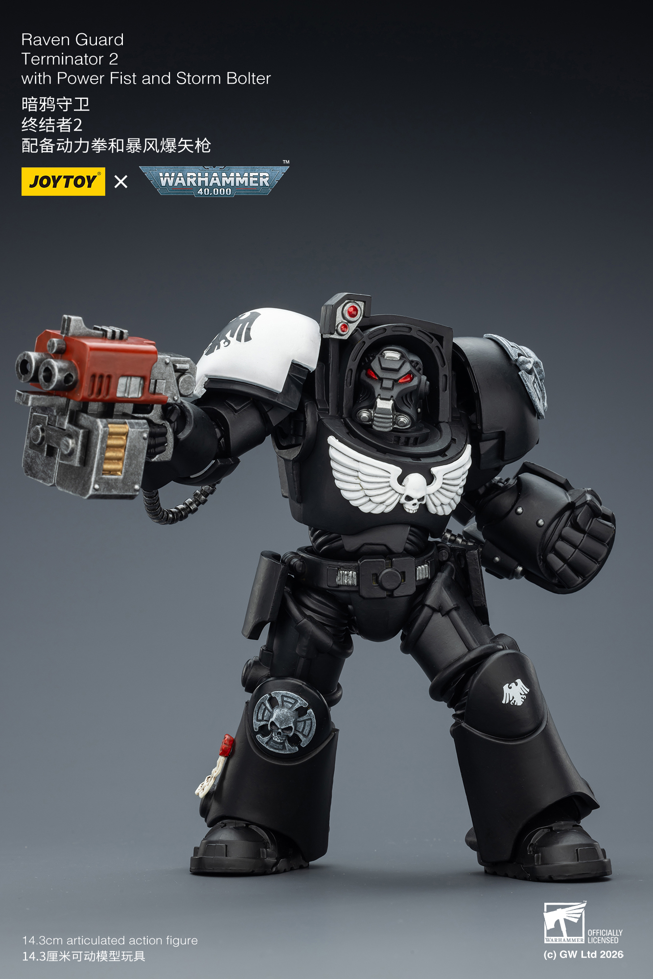 Raven Guard Terminator 2 with Power Fist and Storm Bolter - view 12